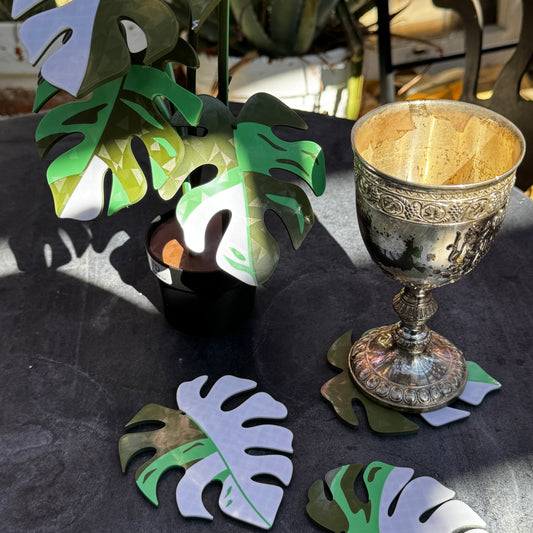 Monstera Variegata Plant – Functional Art with 6 Leaf Coasters 🌿☕