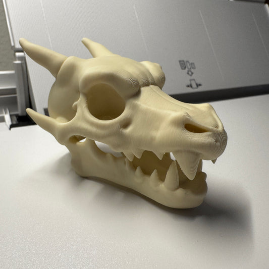 Charizard skull